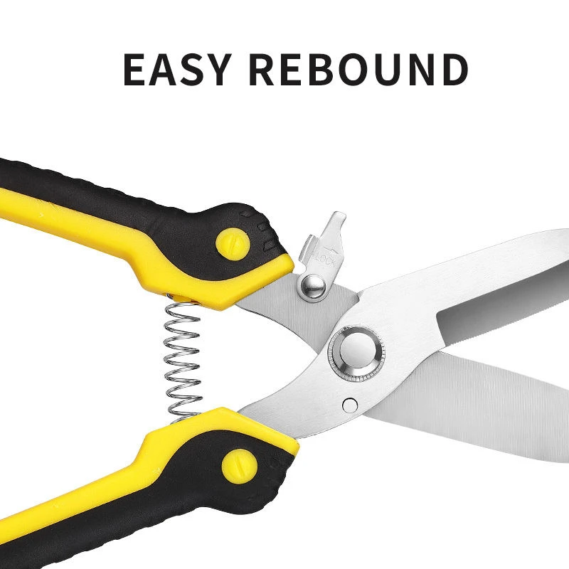 product-800-800 product-800-800